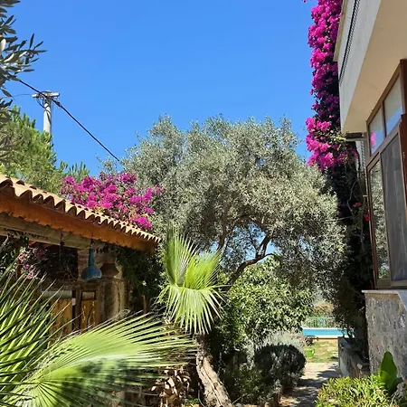 Rodd's House Iasos Apartman